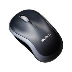 LOGITECH B175 WIRELESS MOUSE, 3-Years Warranty